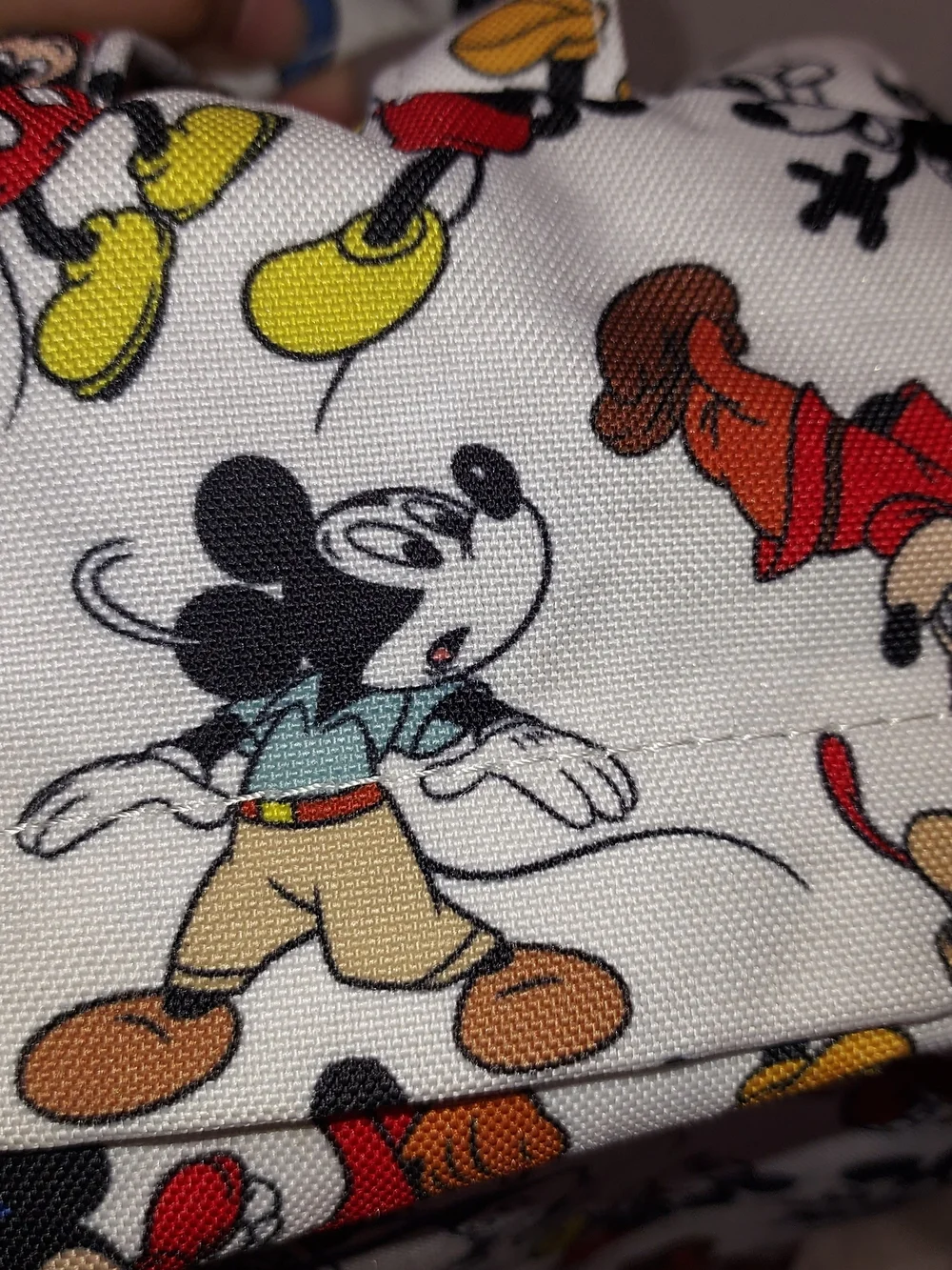 Disney 90th Anniversary, Employee Exclusive Backpack